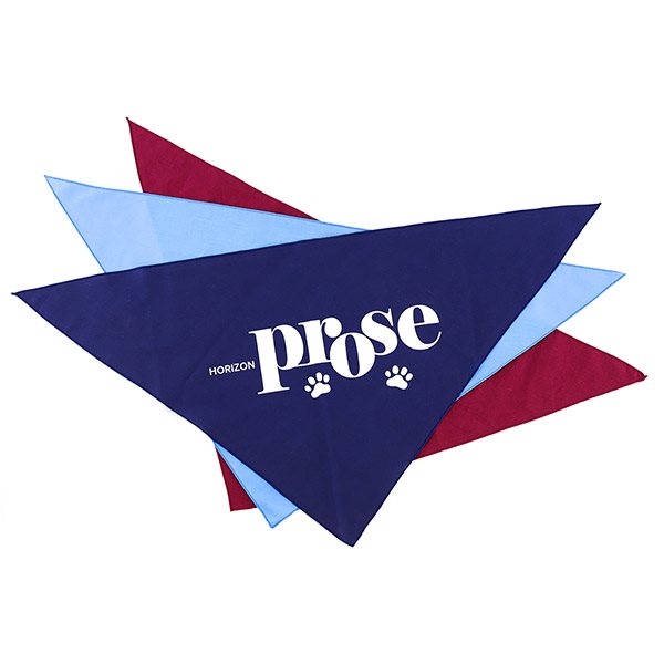 Large Triangle Pet Bandana with Screen Print